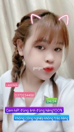 772096.jpg