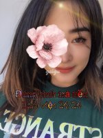 733157.jpg